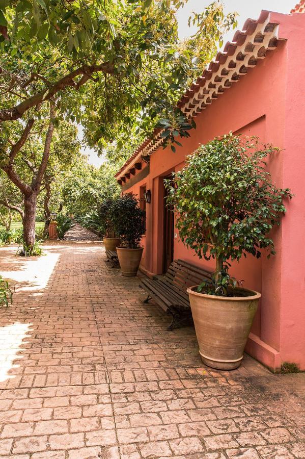 Homeforguest Cosy Rural Flat La Lavanda Surrounded By Nature Tacoronte Dış mekan fotoğraf