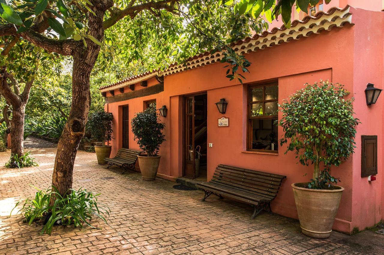 Homeforguest Cosy Rural Flat La Lavanda Surrounded By Nature Tacoronte Dış mekan fotoğraf